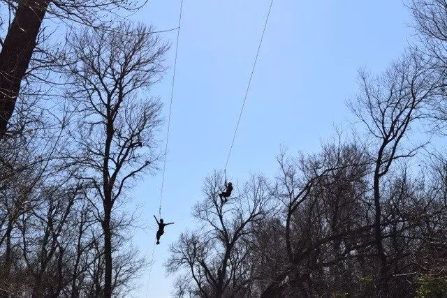 Zipline at Collin County Adventure Camp