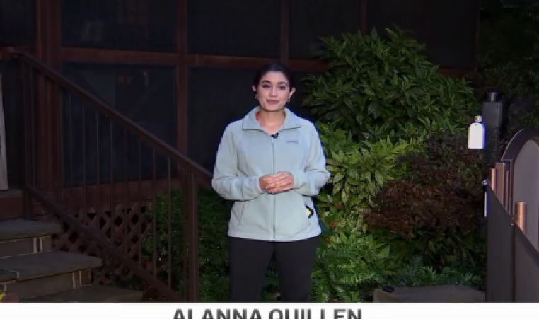 NBC5 - Swim Week WEDNESDAY with Alanna Quillen