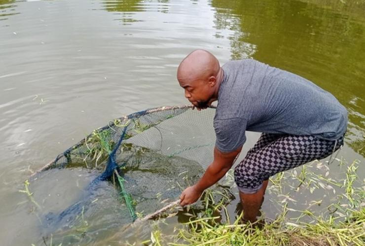 Vatekeh Peters, Todee YMCA Camp Manager, harvesting tilapia from the fish pond